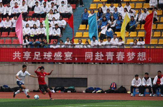 五月情网