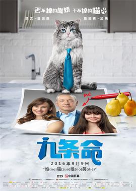 精品国产自