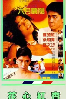 我的PS伙伴