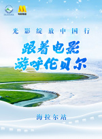 伊人9999