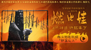 91视频区