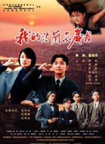 少妇中出视频