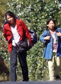 色干综合