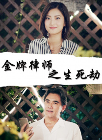 亚洲精品视频区